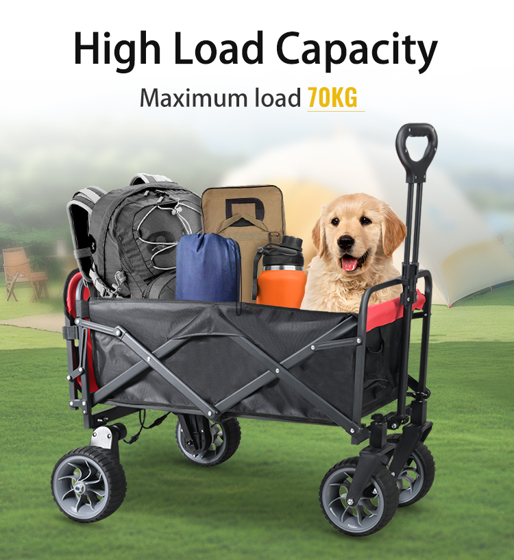 Carrello Elettrico Pieghevole  - Outdoor Camping And Fishing recensione e prezzo